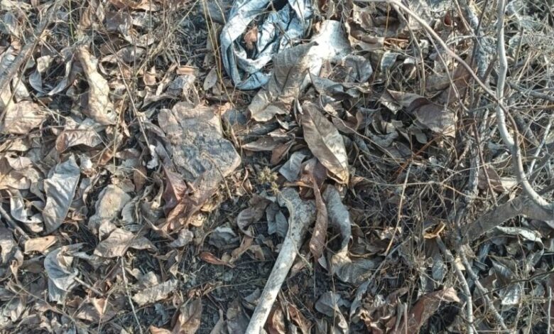 जंगल में नरकंकाल मिलने से सनसनी फैली, शव करीब एक माह पुराना